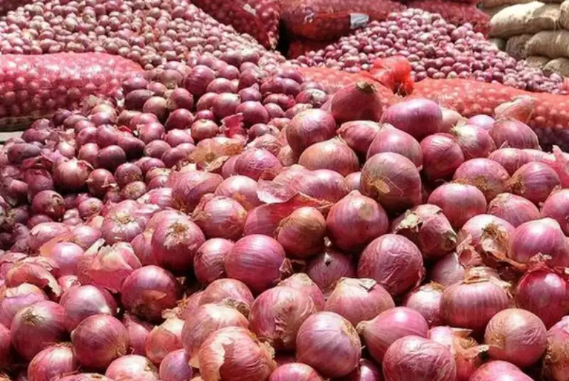 پیاز ارزان شد