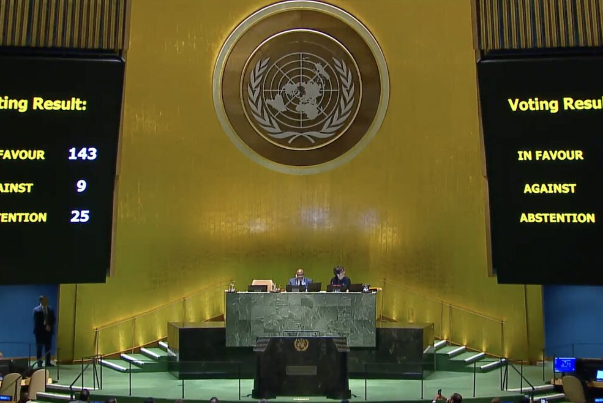 联合国大会投票支持巴勒斯坦入盟