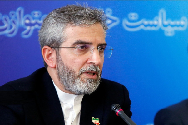 Турция пригласила Багери принять участие в экстренном совещании министров иностранных дел D-8