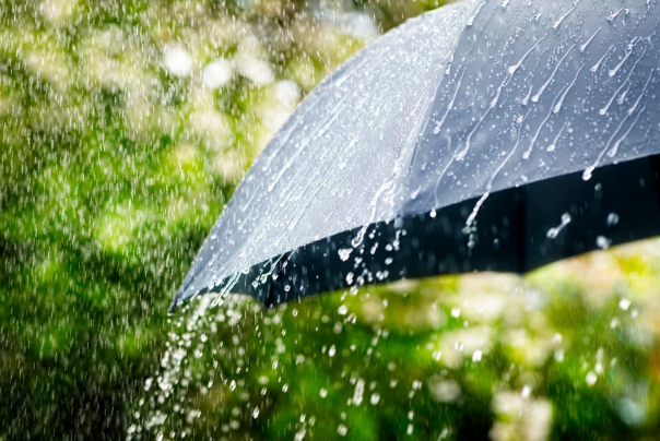 پیس بینی باران در شمال غرب کشور + فیلم