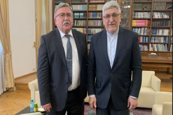 שגרירי איראן ורוסיה בארגונים בינלאומיים דנים בסוגיות של הסוכנות הבינלאומית לאנרגיה אטומית