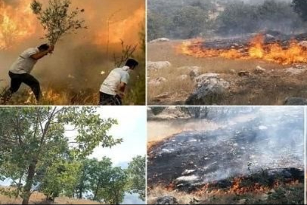 جنگلهای پلدختر همچنان می‌سوزد/اعزام هواپیمای آب‌پاش