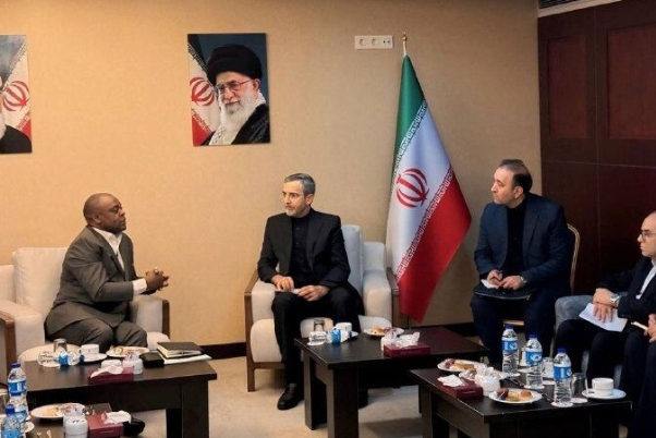 Акцент Ирана на необходимости играть активную и инновационную роль группы D-8