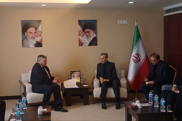 Багери Кани провел встречу с замглавы МИД РФ