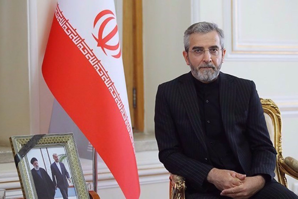 Raisi’s govt. set ground for neutralizing anti-Iran sanctions: Interim FM