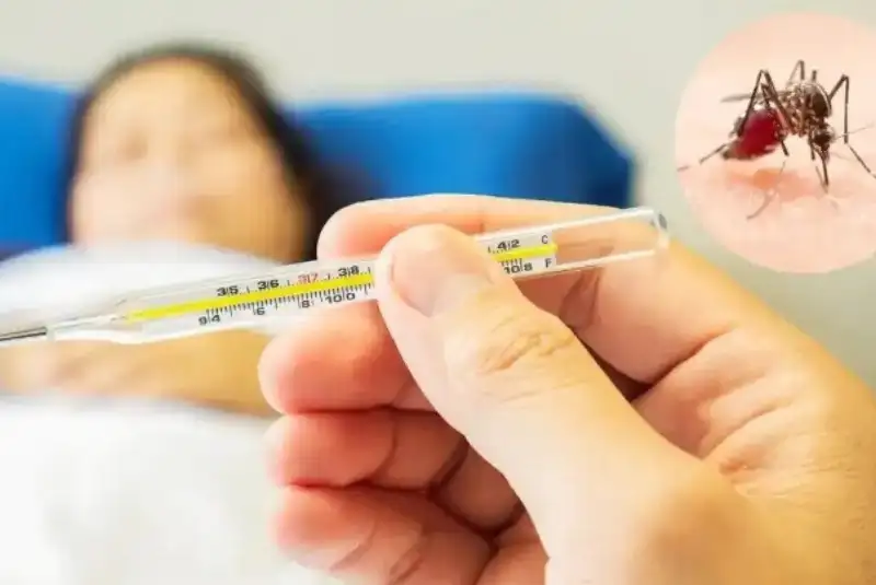 کاسبی با پشه آئدس/ گول تبلیغات را نخورید+ فیلم