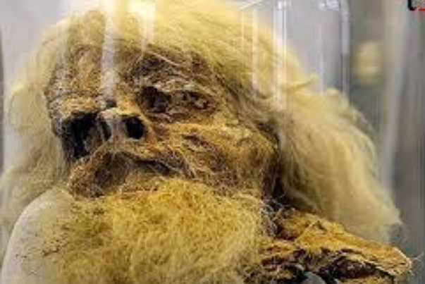 پخش فیلم «مرد نمکی» در موزه سینما