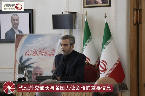 代理外交部长与各国大使会晤的重要信息