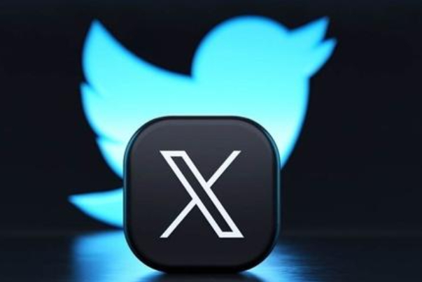 «ایکس» در برزیل تعطیل شد