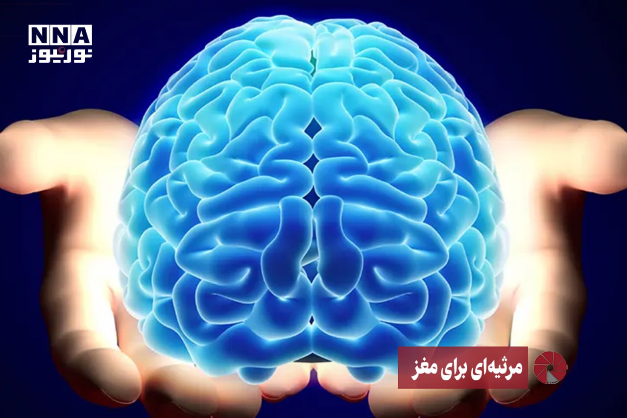 نور ویدئو | مرثیه‌ای برای مغز +فیلم