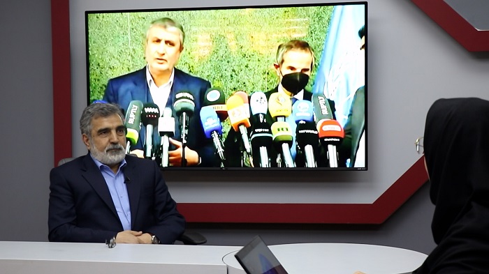 تشریح بر نامه های آینده سازمان انرژی. اتمی از سوی سخنگوی سازمان+ فیلم