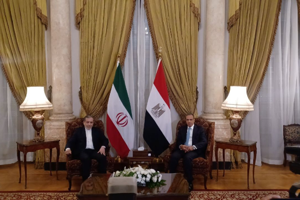 دیدار عراقچی با وزیر خارجه مصر