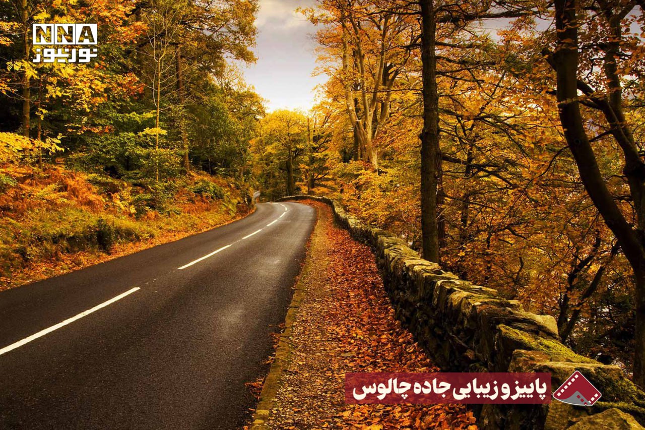 نورنما | پاییز و زیبایی جاده چالوس + فیلم