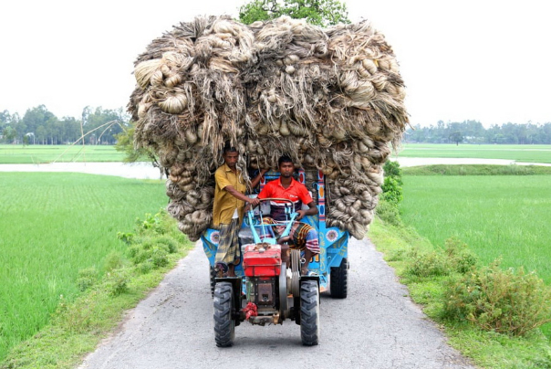 عکس های منتخب جهان،28 اکتبر 2024