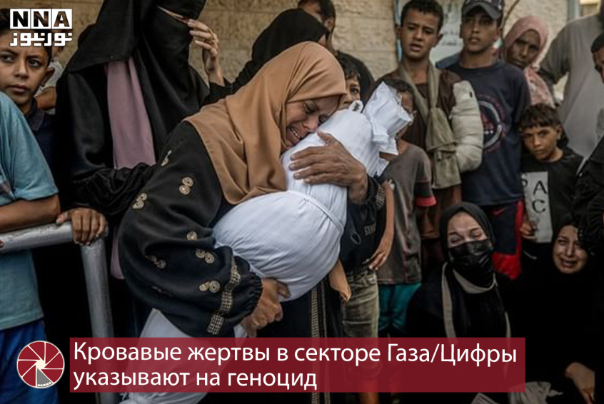 Кровавые жертвы в секторе Газа/Цифры указывают на геноцид