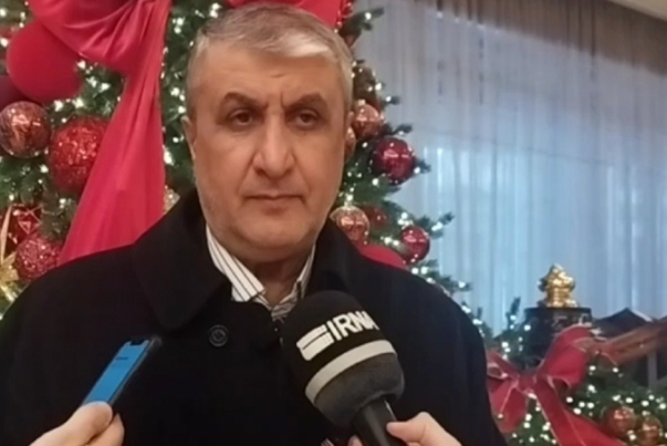 Глава Организации по атомной энергии Ирана: Всеобъемлющий договор открывает новые горизонты для Ирана и России