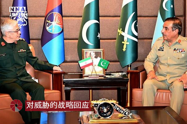 对威胁的战略回应