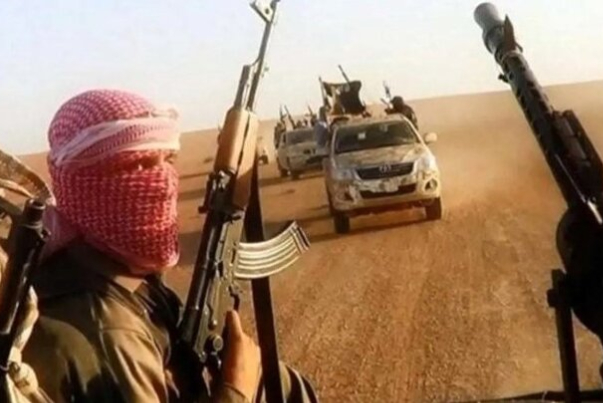 中国敦促叙利亚坚决打击“东伊运”