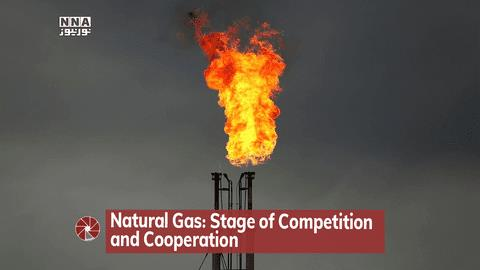 Natural Gas: Stage of Competition and Cooperation