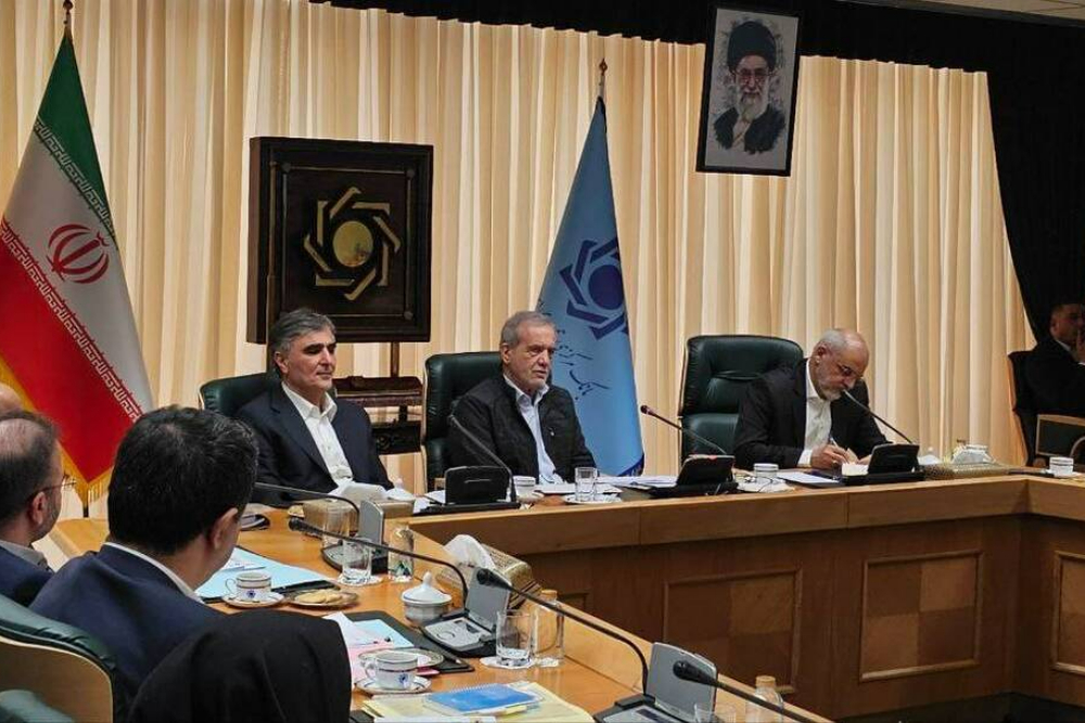 جلسه پزشکیان و فرزین در میرداماد