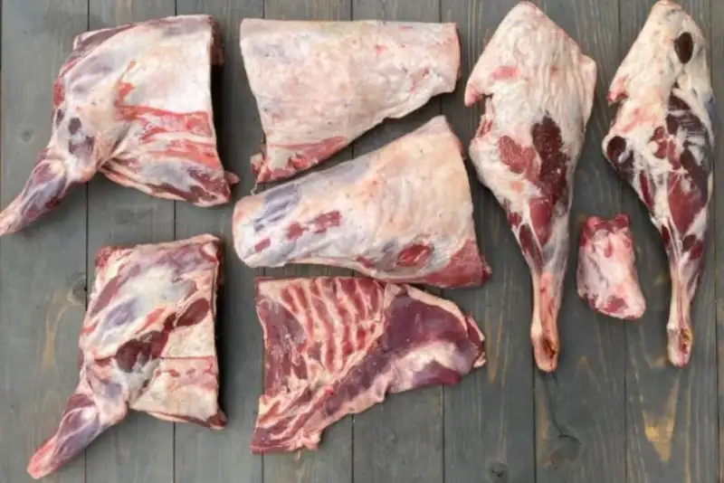 دام‌های بیمار، سفره مردم را آلوده می‌کنند!