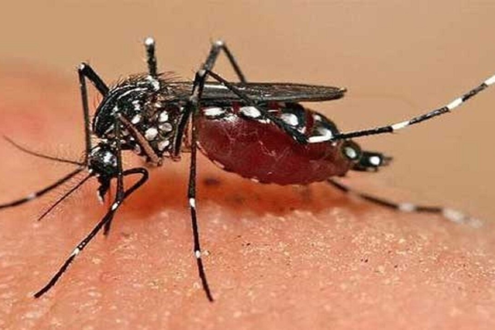 تب دنگی از مرزهای ایران عبور کرده؟