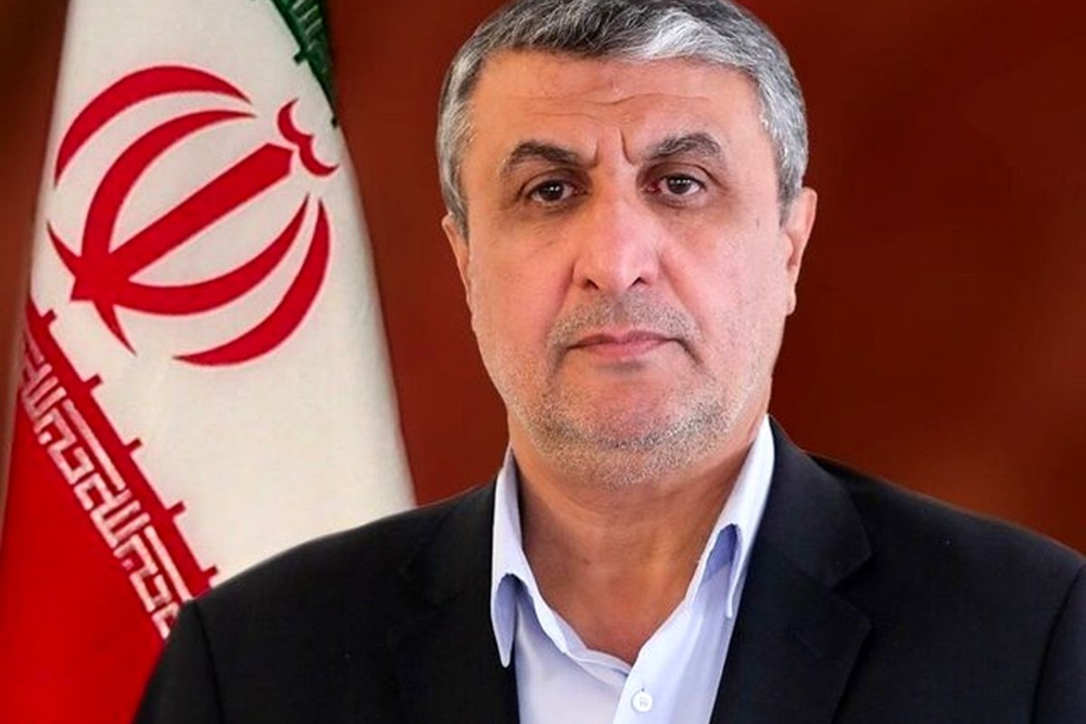 رئیس انرژی اتمی: دانش ایرانی، سپر فناوری هسته‌ای ماست