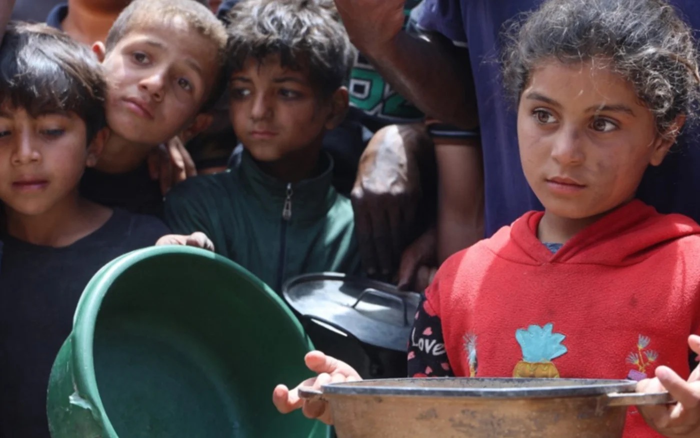 Nearly 1,000 film industry figures sign petition condemning Israel's war on Gaza