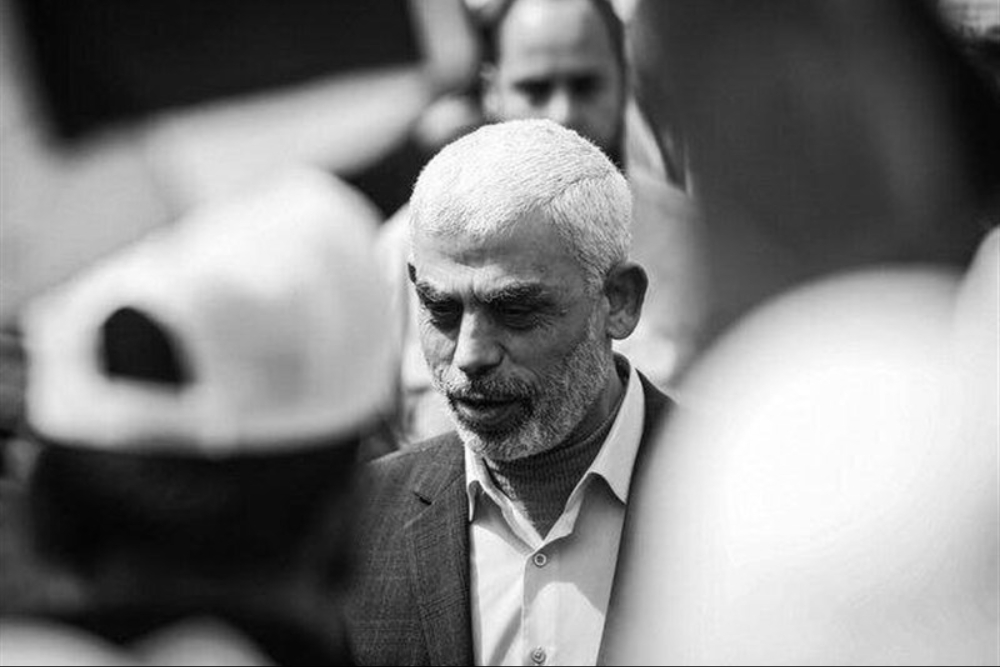 کتابخانه علیه قلم؛ چون به سنوار گفتی «شهید» جایزه نمی‌گیری