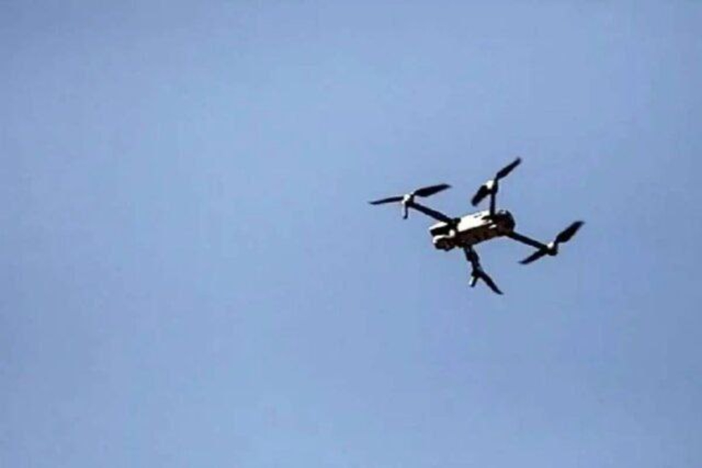 توقیف 22 ریزپرنده قاچاق در استان مرکزی