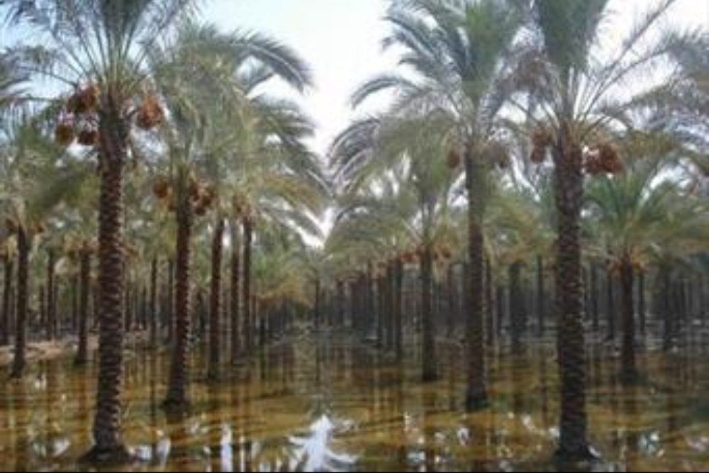 ایران‌نما | معرفی جاذبه‌های گردشگری شهرهای ایران(61) «بَروات»