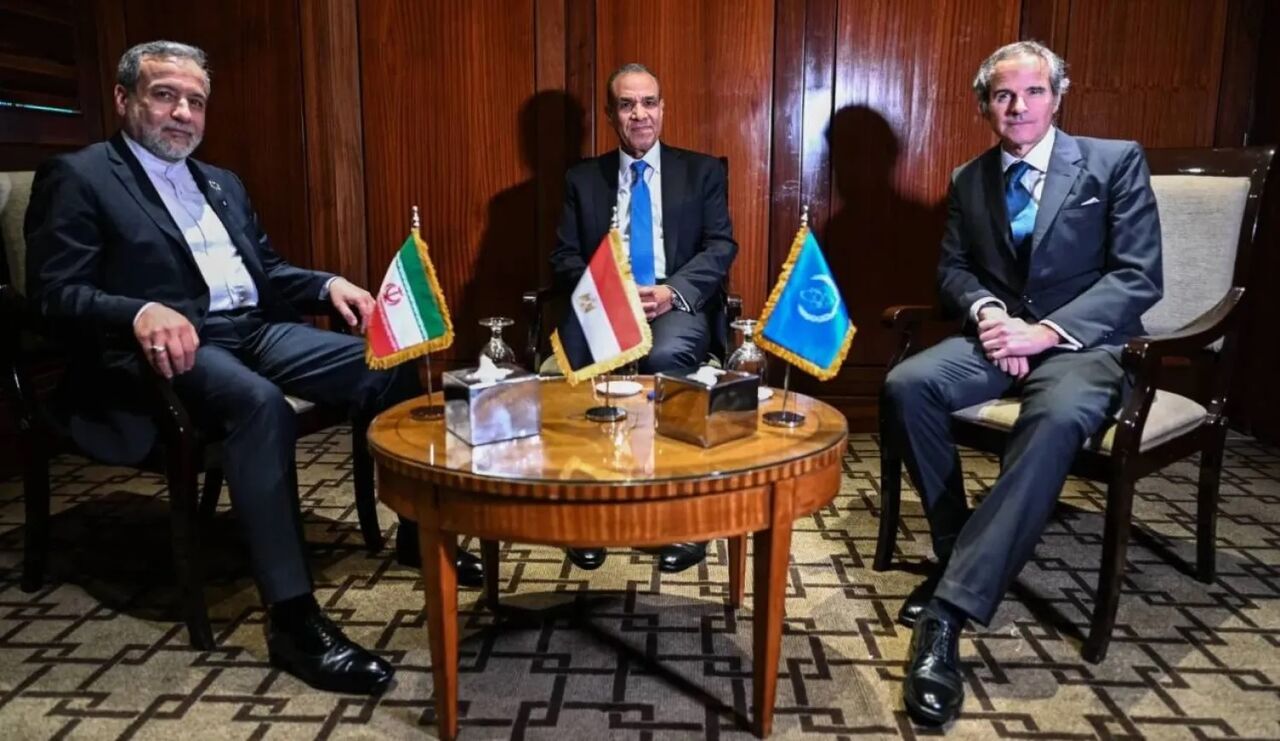 Министр иностранных дел Египта провёл посреднические консультации с главой МИД Ирана и гендиректором МАГАТЭ