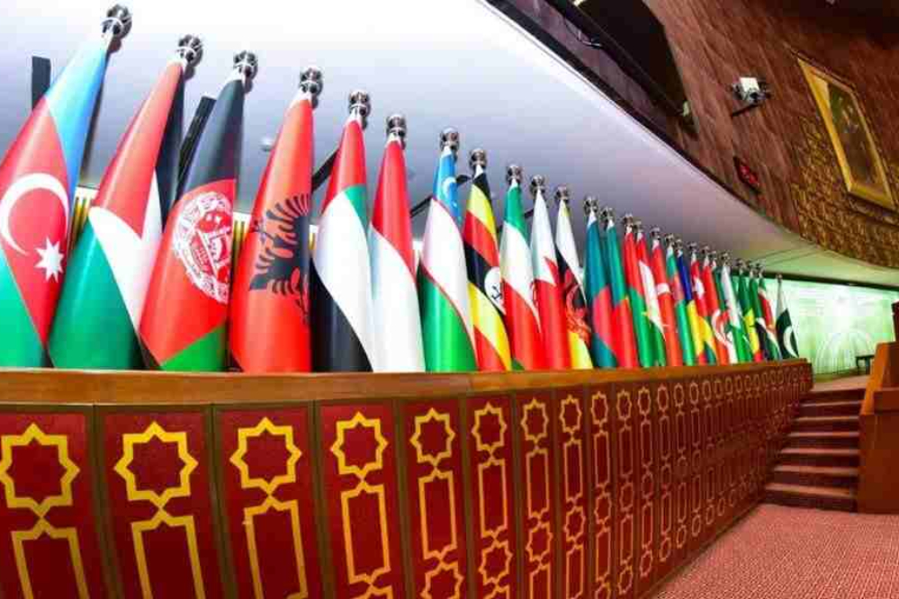 31个伊斯兰国家发表联合声明谴责内塔尼亚胡言论