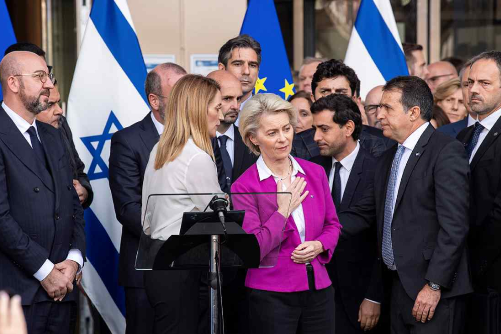 欧洲的转变：从象征性批评到战略性顺从