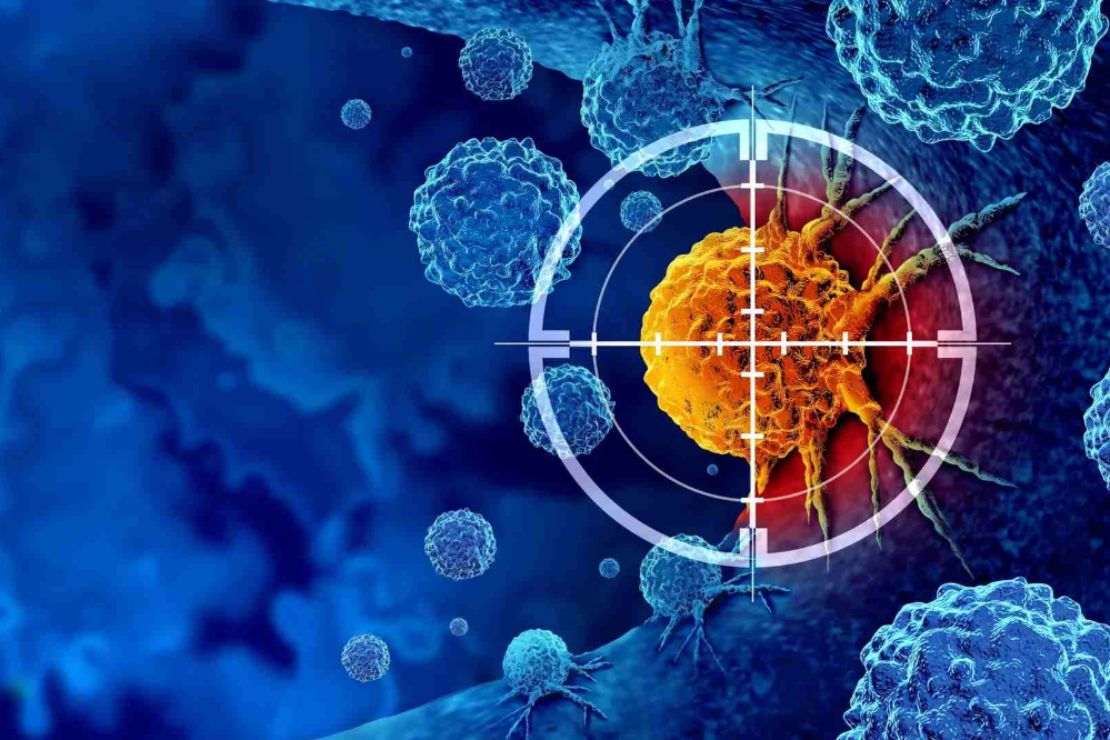 مبارزه با سرطان یا مشتقات یک گیاه