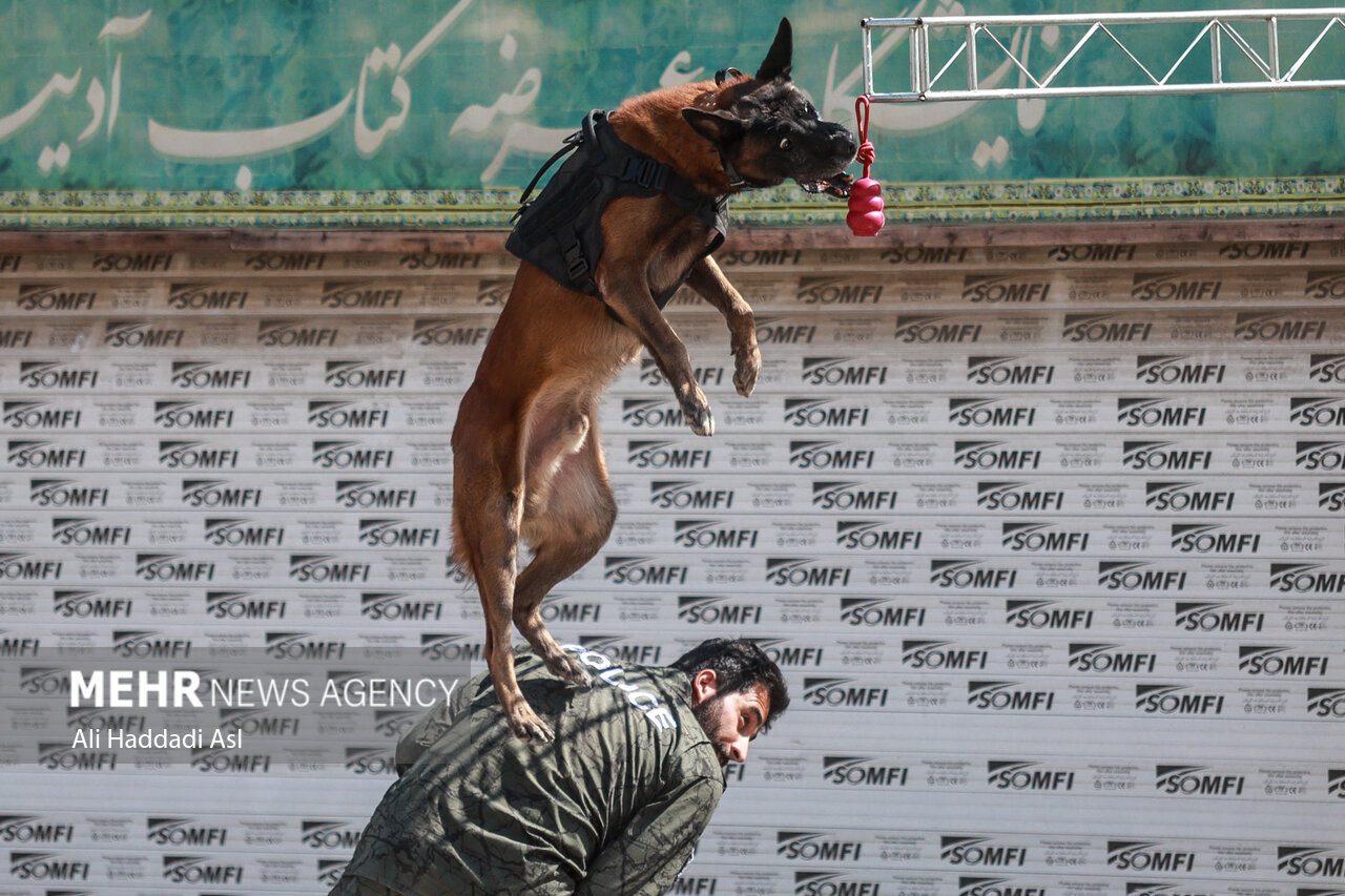 عکس های منتخب ایران، دوشنبه21 مهر 1404