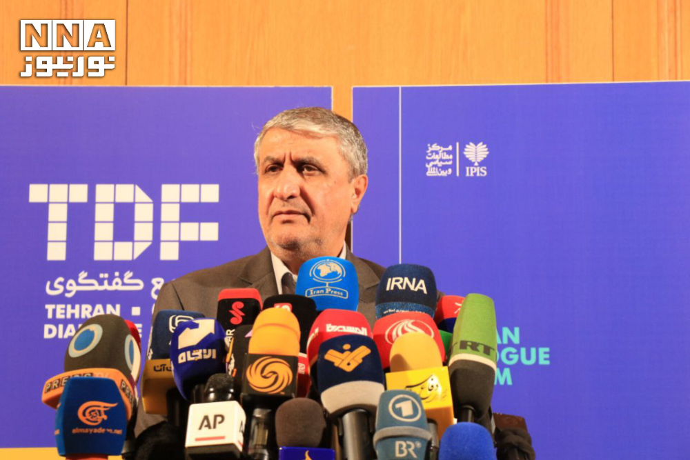 伊斯拉米：我们在放射性药物、等离子体和辐射领域取得了良好进展