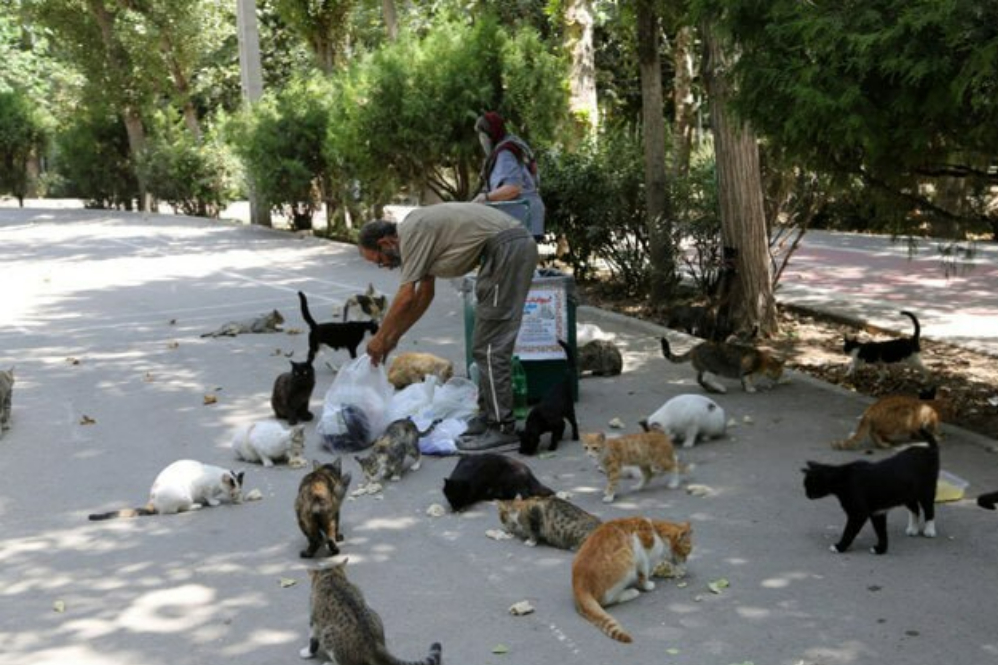 خیانت به محیط زیست با ژست حمایت از حیوانات