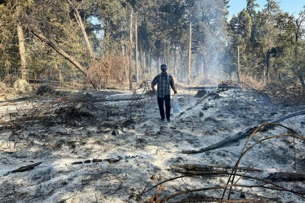 آتش‌سوزی جنگل‌های رادکان کردکوی مهار شد/شروع آتش سوزی در منطقه درازنو