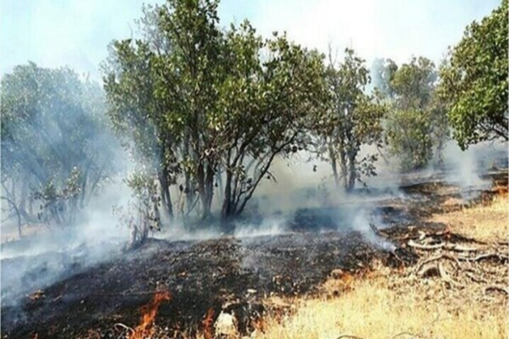 مهار آتش در بیش از 5 هزار متر مربع از جنگل‌های تالش گیلان