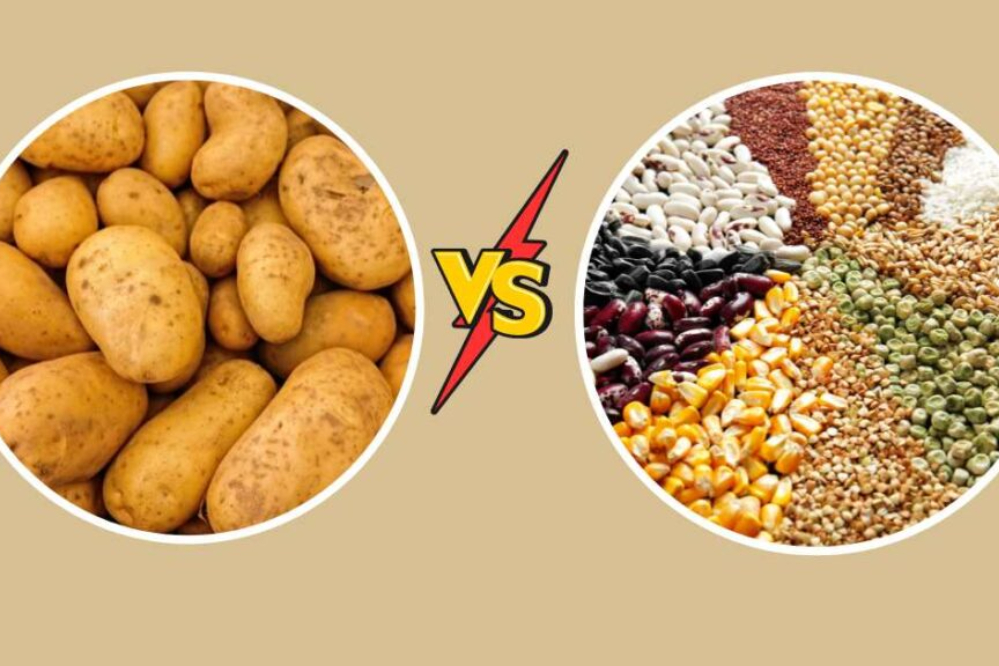 چرا سیب‌زمینی و غلات جایگزین هم نیستند؟
