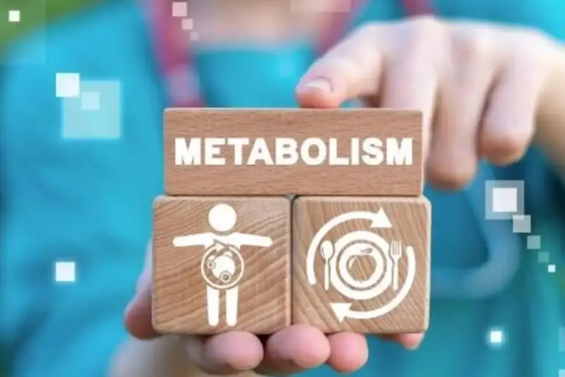 4 عامل اثرگذار بر سوخت‌وساز بدن