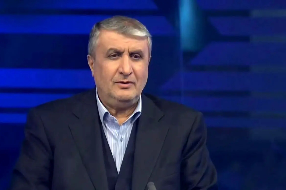 Эслами обратился к Гросси: Если ядерные объекты уничтожены, что вы ищете?