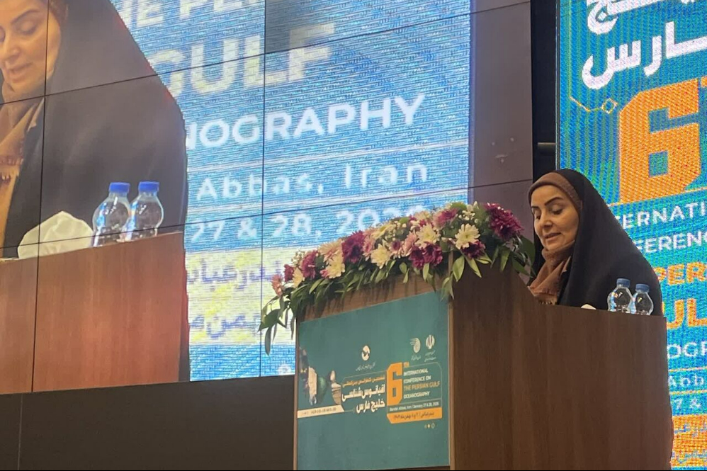 Министр дорог и городского развития: Управление ситуацией в Персидском заливе требует разумного и научного подхода