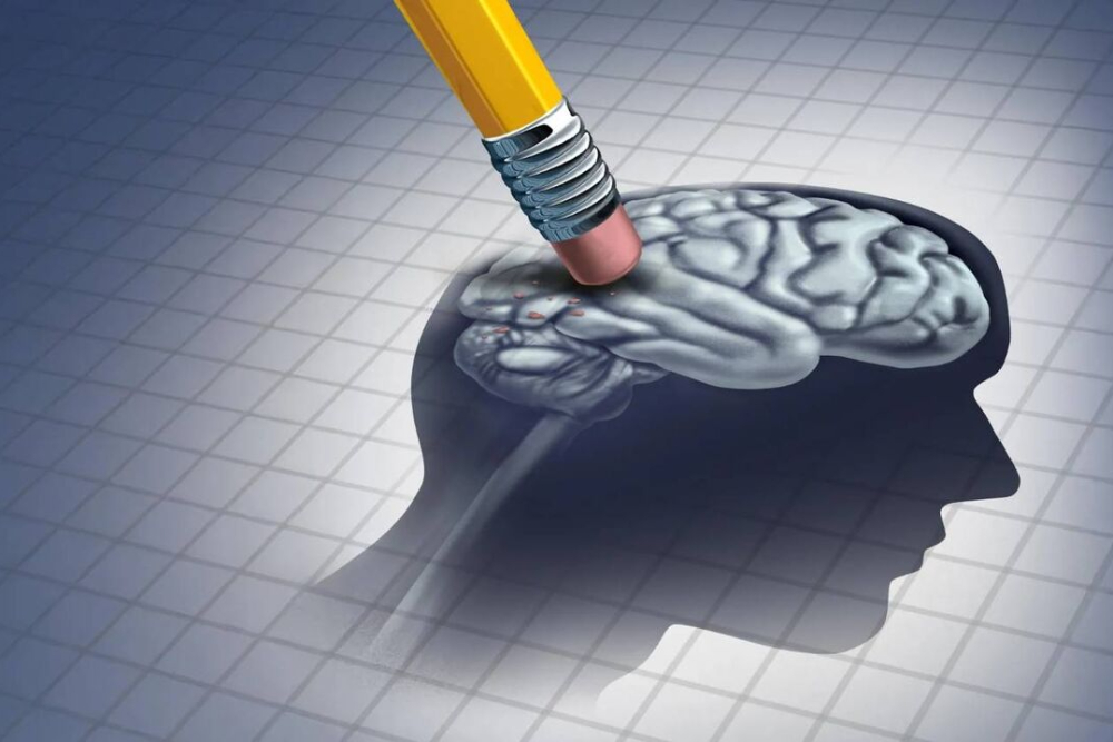 کشف کلید مولکولی آلزایمر؛ امید تازه برای محافظت از حافظه + نقش تغذیه در درمان آلزایمر