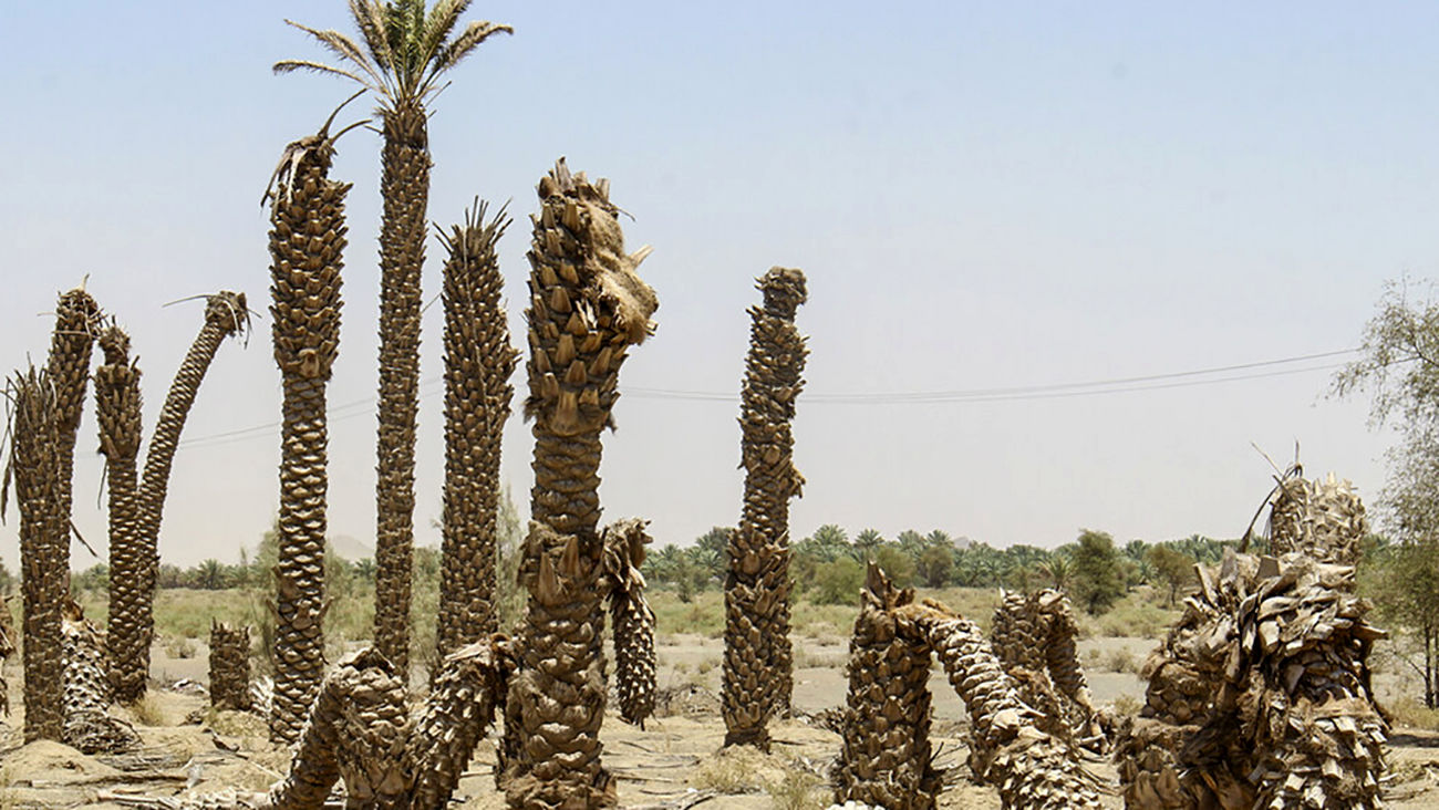 احتمال کاهش میزان بارندگی در پاییز امسال